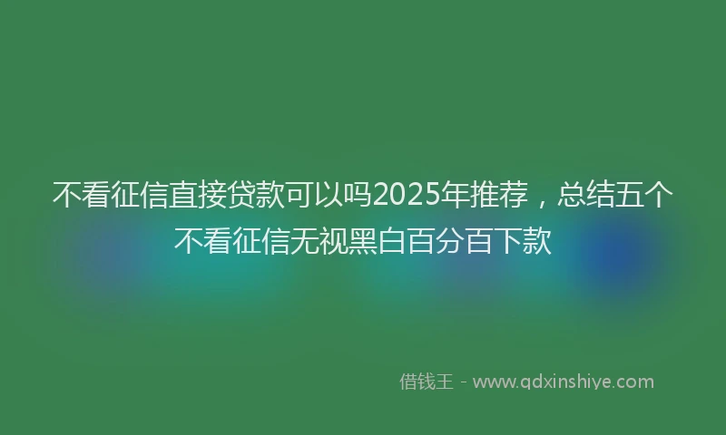 不看征信直接贷款可以吗2025年推荐，总结五个不看征信无视黑白百分百下款