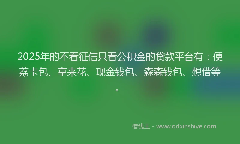 2025年的不看征信只看公积金的贷款平台有：便荔卡包、享来花、现金钱包、森森钱包、想借等。