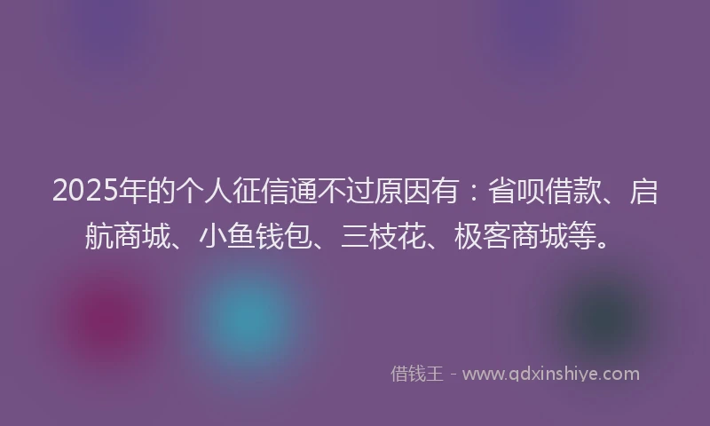 2025年的个人征信通不过原因有：省呗借款、启航商城、小鱼钱包、三枝花、极客商城等。