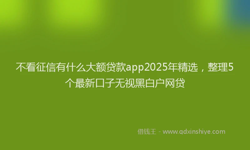 不看征信有什么大额贷款app2025年精选，整理5个最新口子无视黑白户网贷