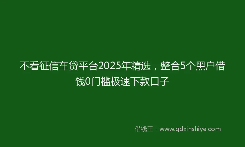 不看征信车贷平台2025年精选,整合5个黑户借钱0门槛极速下款口子