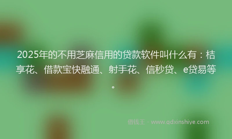 2025年的不用芝麻信用的贷款软件叫什么有：桔享花、借款宝快融通、射手花、信秒贷、e贷易等。