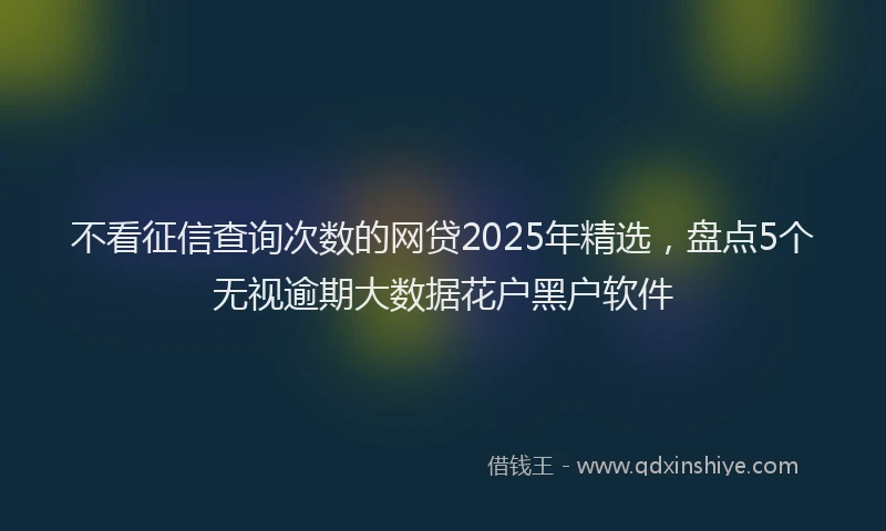 不看征信查询次数的网贷2025年精选，盘点5个无视逾期大数据花户黑户软件