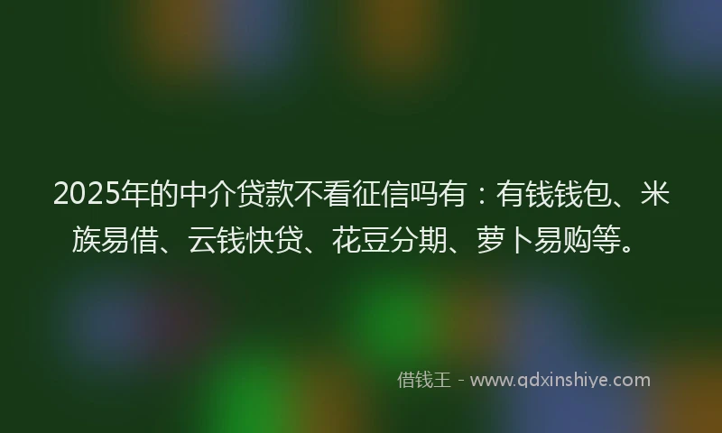 2025年的中介贷款不看征信吗有：有钱钱包、米族易借、云钱快贷、花豆分期、萝卜易购等。