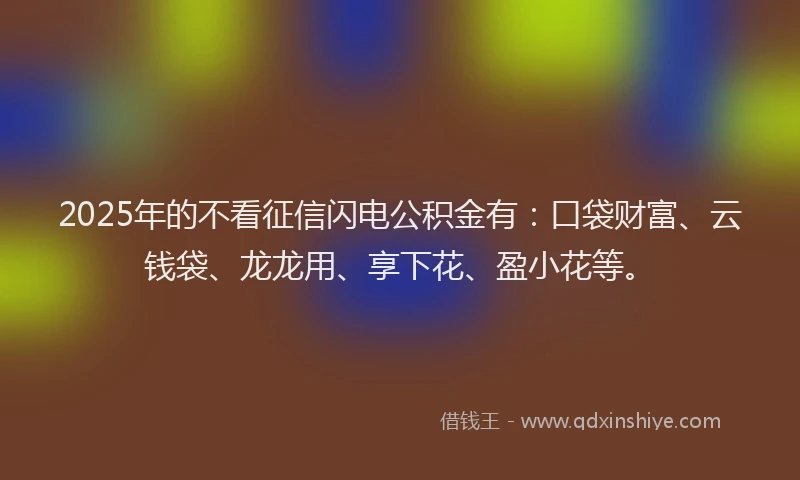 2025年的不看征信闪电公积金有：口袋财富、云钱袋、龙龙用、享下花、盈小花等。