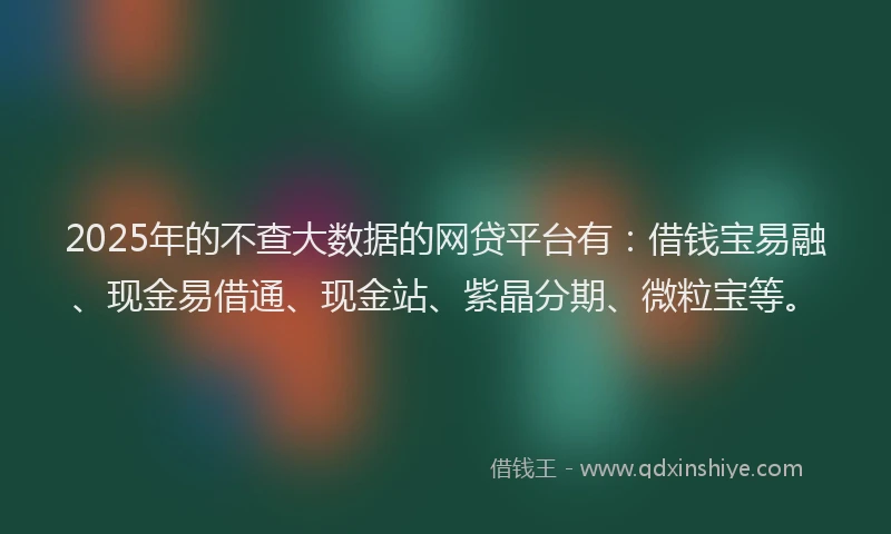 2025年的不查大数据的网贷平台有：借钱宝易融、现金易借通、现金站、紫晶分期、微粒宝等。