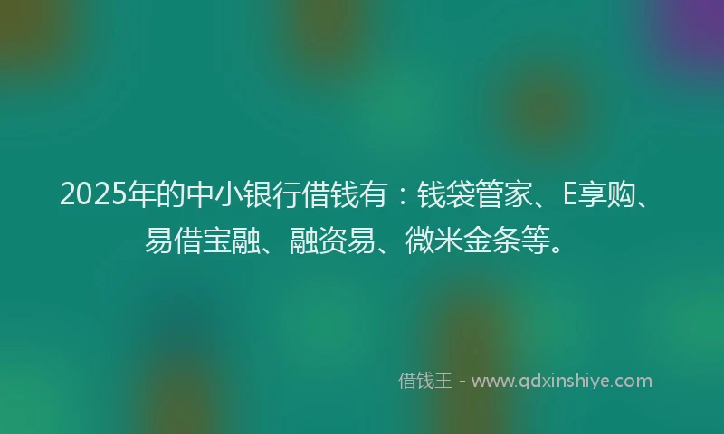 2025年的中小银行借钱有：钱袋管家、E享购、易借宝融、融资易、微米金条等。