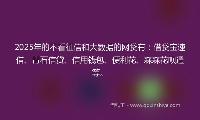 2025年的不看征信和大数据的网贷有：借贷宝速借、青石信贷、信用钱包、便利花、森森花呗通等。