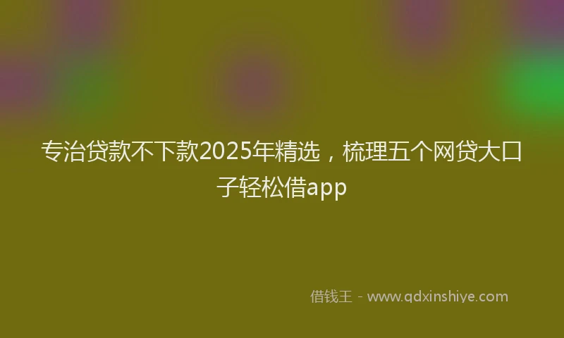 专治贷款不下款2025年精选，梳理五个网贷大口子轻松借app