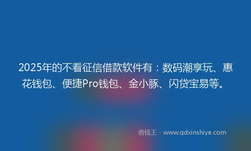 2025年的不看征信借款软件有：数码潮享玩、惠花钱包、便捷Pro钱包、金小豚、闪贷宝易等。