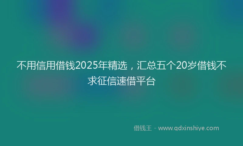 不用信用借钱2025年精选，汇总五个20岁借钱不求征信速借平台