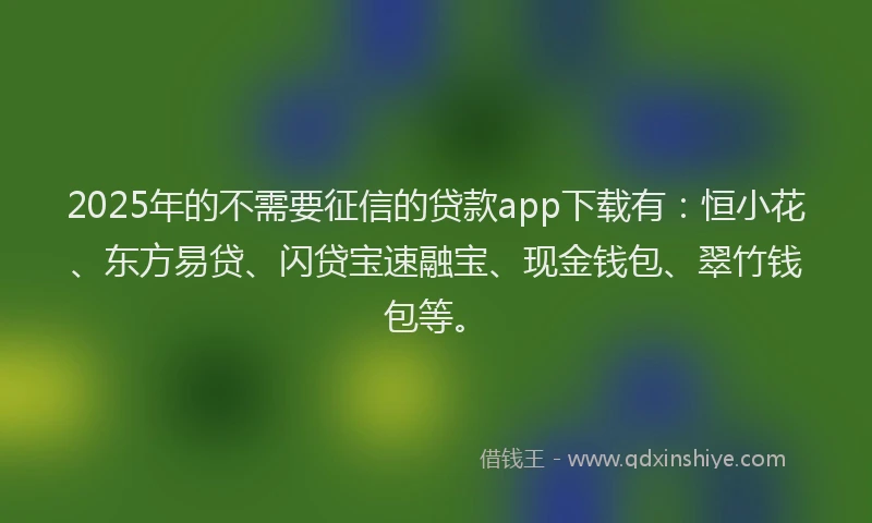 2025年的不需要征信的贷款app下载有：恒小花、东方易贷、闪贷宝速融宝、现金钱包、翠竹钱包等。