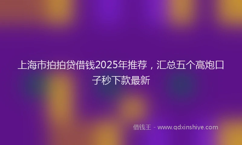 上海市拍拍贷借钱2025年推荐，汇总五个高炮口子秒下款最新