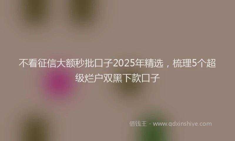 不看征信大额秒批口子2025年精选，梳理5个超级烂户双黑下款口子