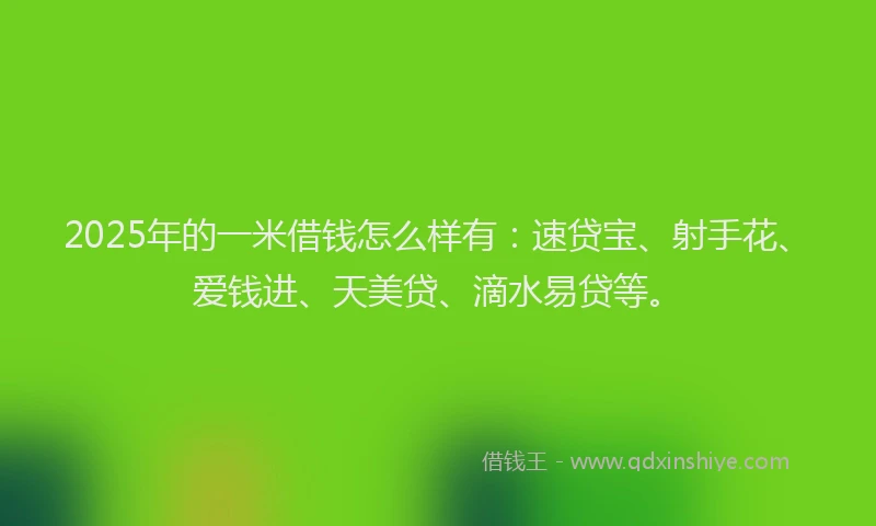 2025年的一米借钱怎么样有:速贷宝、射手花、爱钱进、天美贷、滴水易贷等。