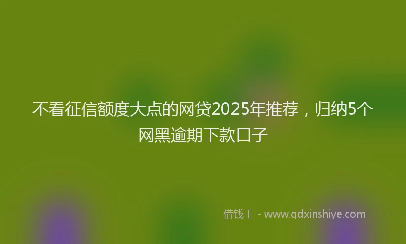 不看征信额度大点的网贷2025年推荐，归纳5个网黑逾期下款口子