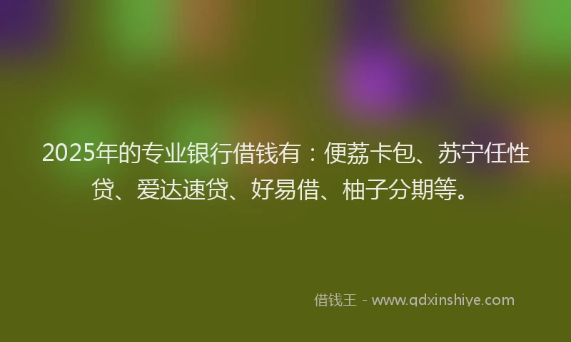 2025年的专业银行借钱有：便荔卡包、苏宁任性贷、爱达速贷、好易借、柚子分期等。