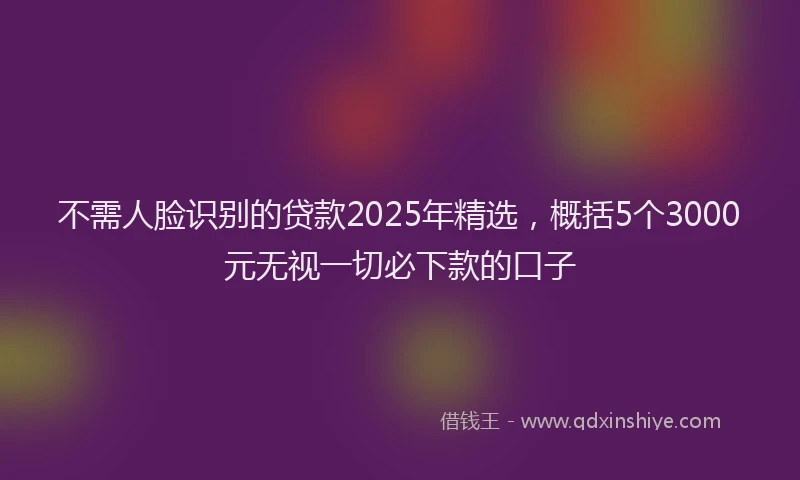 不需人脸识别的贷款2025年精选，概括5个3000元无视一切必下款的口子