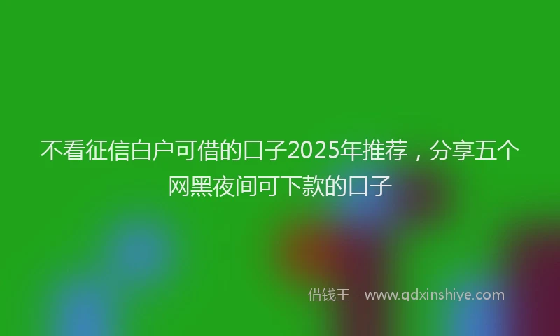 不看征信白户可借的口子2025年推荐，分享五个网黑夜间可下款的口子