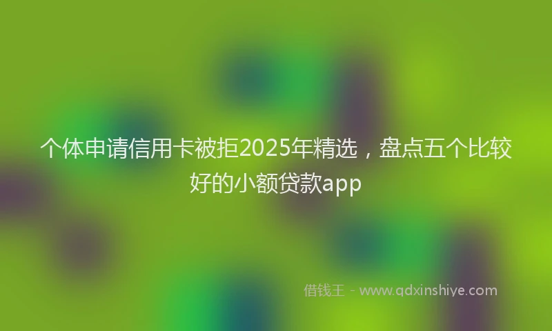 个体申请信用卡被拒2025年精选，盘点五个比较好的小额贷款app