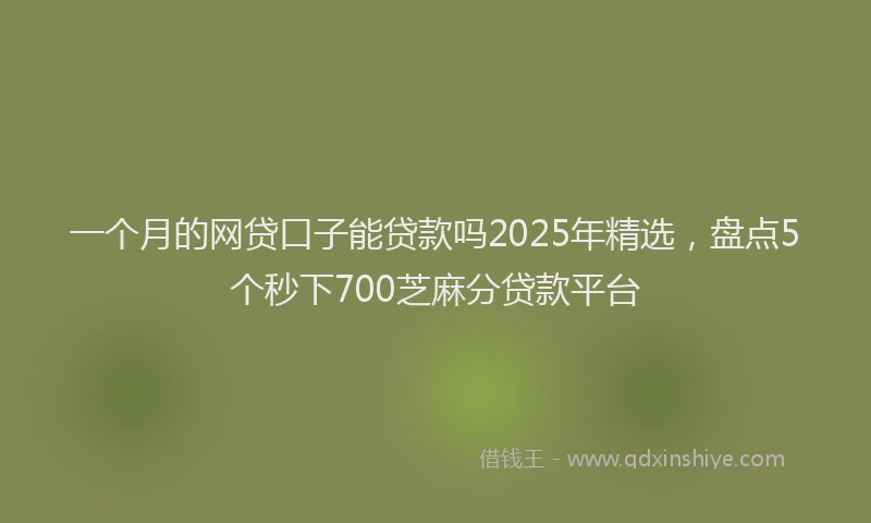 一个月的网贷口子能贷款吗2025年精选，盘点5个秒下700芝麻分贷款平台
