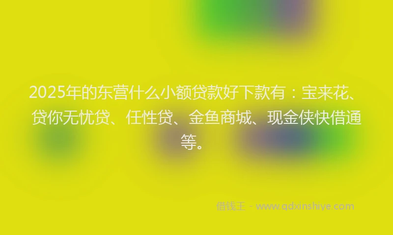 2025年的东营什么小额贷款好下款有:宝来花、贷你无忧贷、任性贷、金鱼商城、现金侠快借通等。