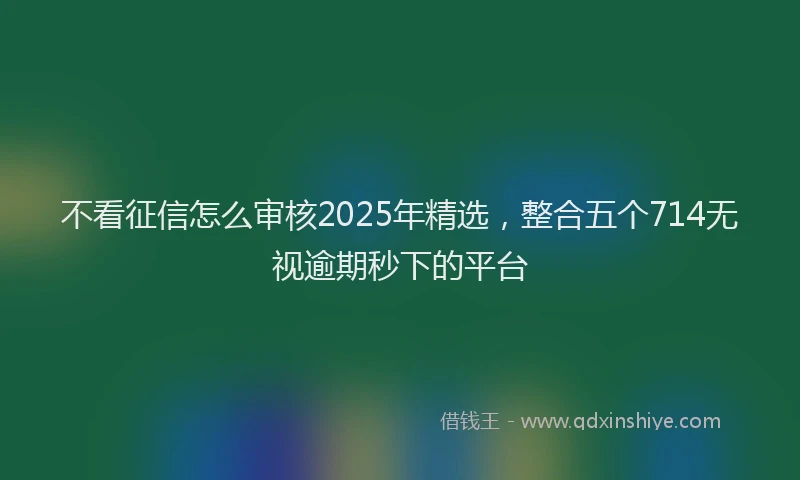 不看征信怎么审核2025年精选，整合五个714无视逾期秒下的平台