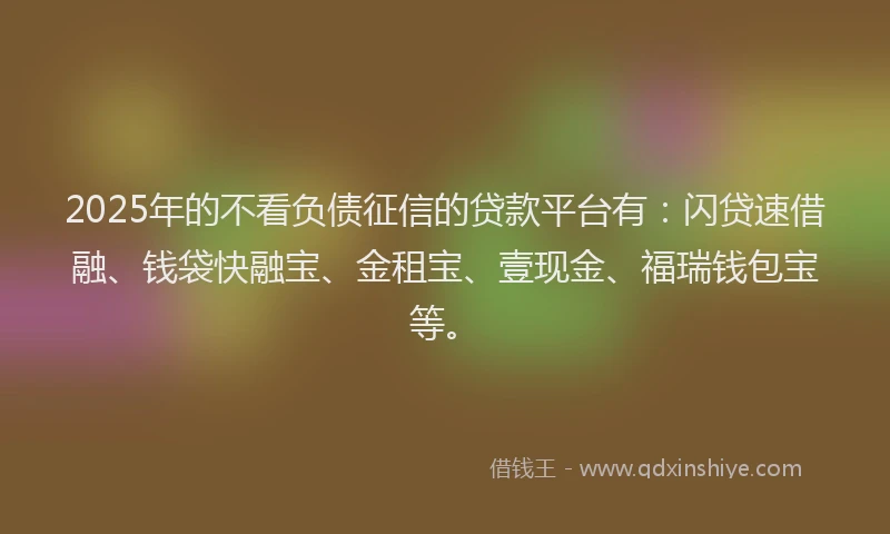 2025年的不看负债征信的贷款平台有：闪贷速借融、钱袋快融宝、金租宝、壹现金、福瑞钱包宝等。