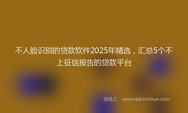 不人脸识别的贷款软件2025年精选，汇总5个不上征信报告的贷款平台