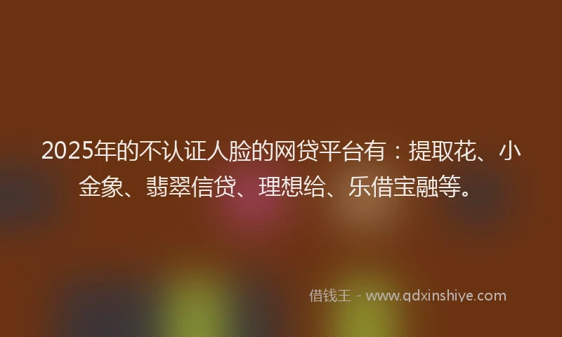2025年的不认证人脸的网贷平台有：提取花、小金象、翡翠信贷、理想给、乐借宝融等。