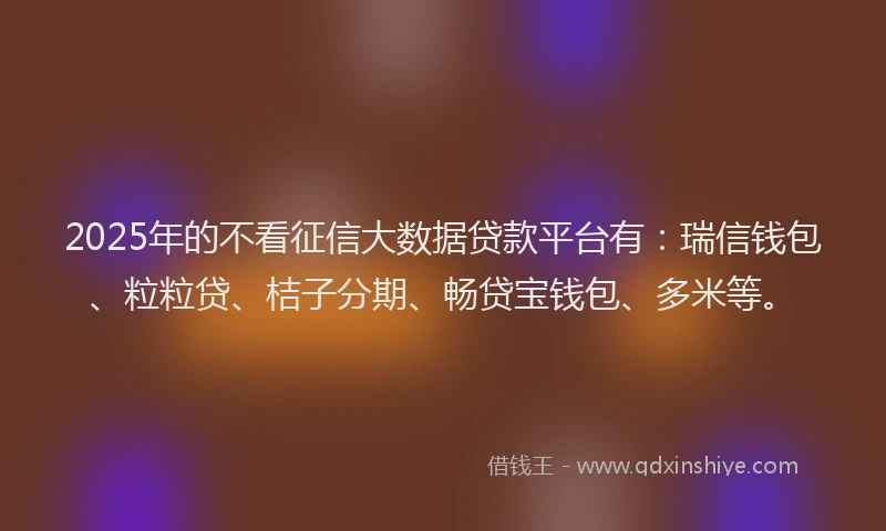 2025年的不看征信大数据贷款平台有：瑞信钱包、粒粒贷、桔子分期、畅贷宝钱包、多米等。