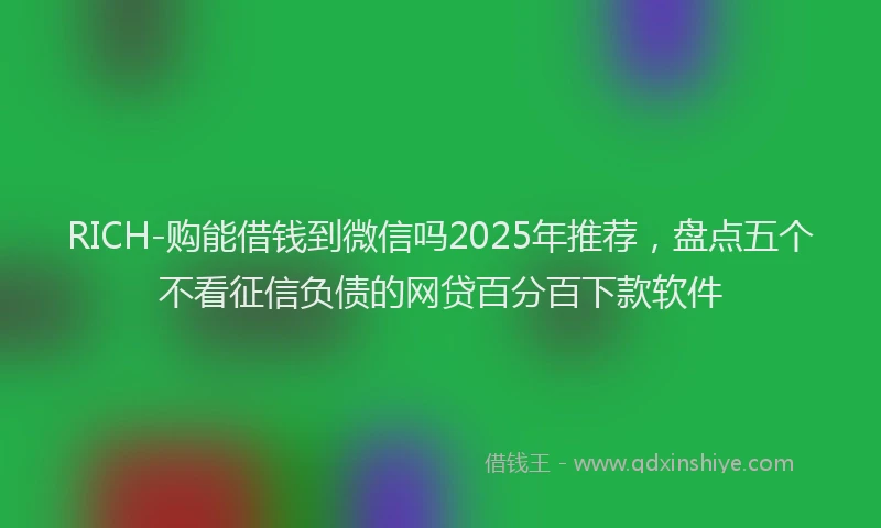 RICH-购能借钱到微信吗2025年推荐，盘点五个不看征信负债的网贷百分百下款软件