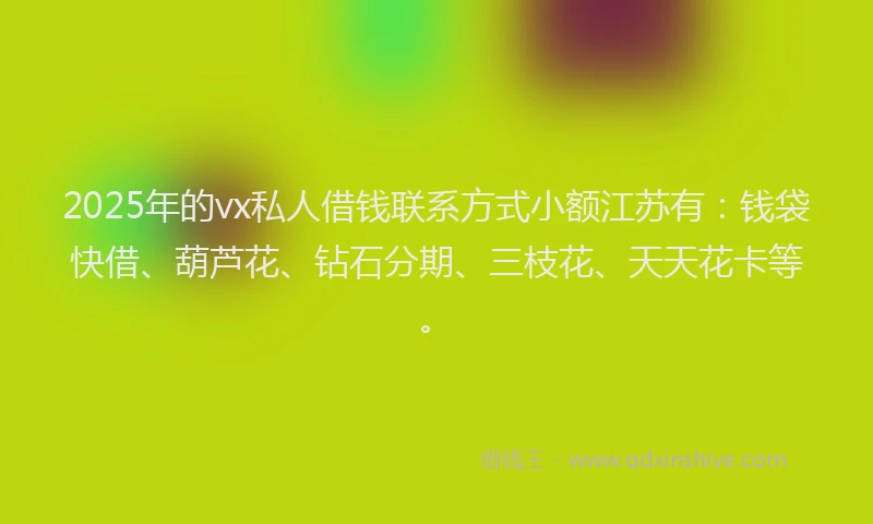 2025年的vx私人借钱联系方式小额江苏有：钱袋快借、葫芦花、钻石分期、三枝花、天天花卡等。
