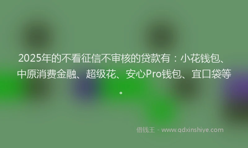 2025年的不看征信不审核的贷款有：小花钱包、中原消费金融、超级花、安心Pro钱包、宜口袋等。