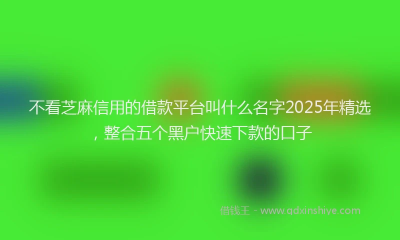 不看芝麻信用的借款平台叫什么名字2025年精选，整合五个黑户快速下款的口子