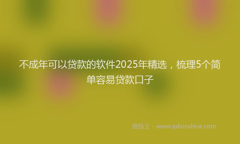 不成年可以贷款的软件2025年精选，梳理5个简单容易贷款口子