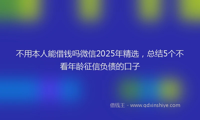 不用本人能借钱吗微信2025年精选，总结5个不看年龄征信负债的口子