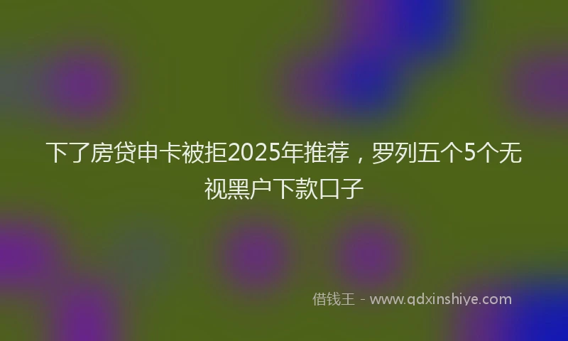 下了房贷申卡被拒2025年推荐，罗列五个5个无视黑户下款口子