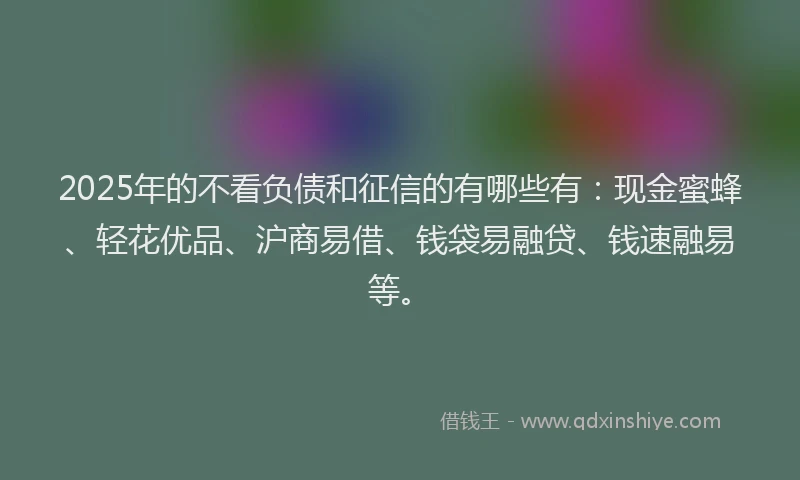 2025年的不看负债和征信的有哪些有：现金蜜蜂、轻花优品、沪商易借、钱袋易融贷、钱速融易等。