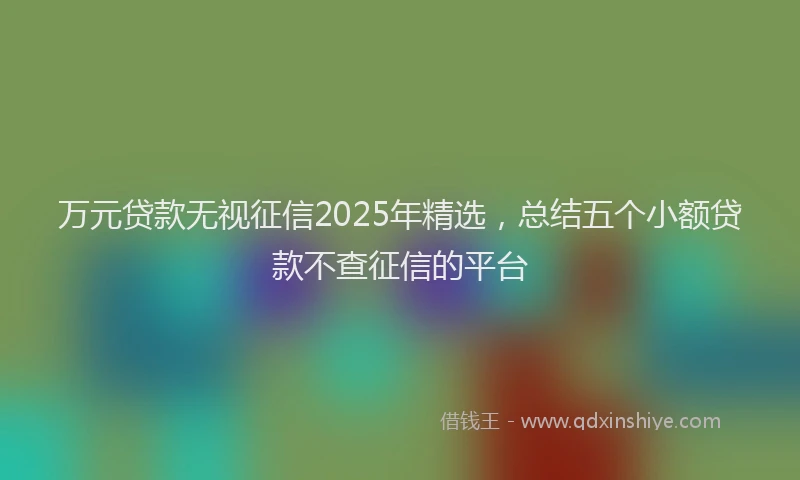 万元贷款无视征信2025年精选，总结五个小额贷款不查征信的平台