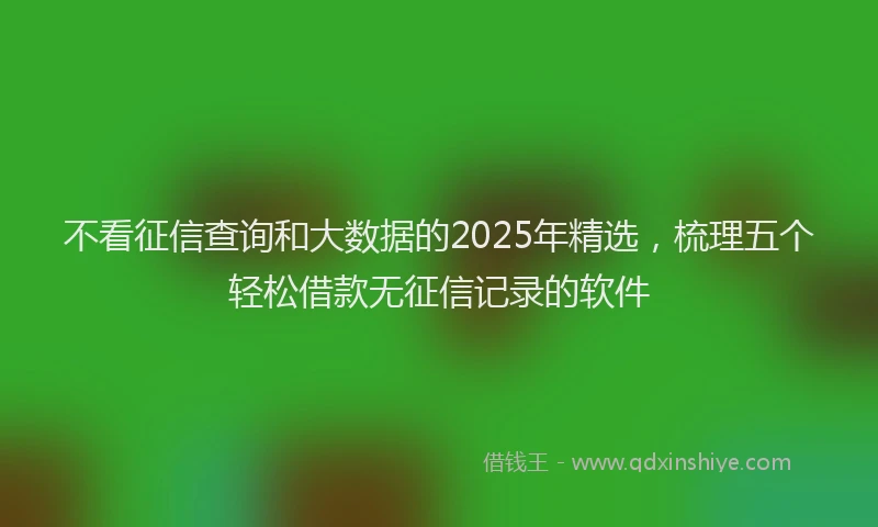 不看征信查询和大数据的2025年精选,梳理五个轻松借款无征信记录的软件