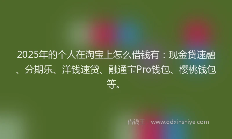 2025年的个人在淘宝上怎么借钱有：现金贷速融、分期乐、洋钱速贷、融通宝Pro钱包、樱桃钱包等。