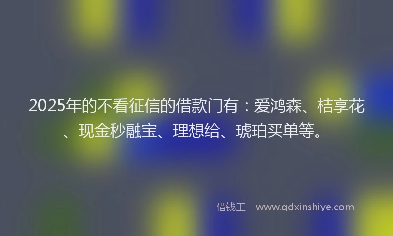 2025年的不看征信的借款门有：爱鸿森、桔享花、现金秒融宝、理想给、琥珀买单等。