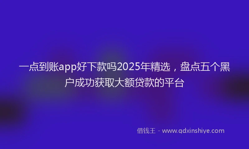 一点到账app好下款吗2025年精选，盘点五个黑户成功获取大额贷款的平台