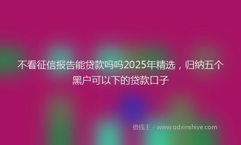 不看征信报告能贷款吗吗2025年精选，归纳五个黑户可以下的贷款口子