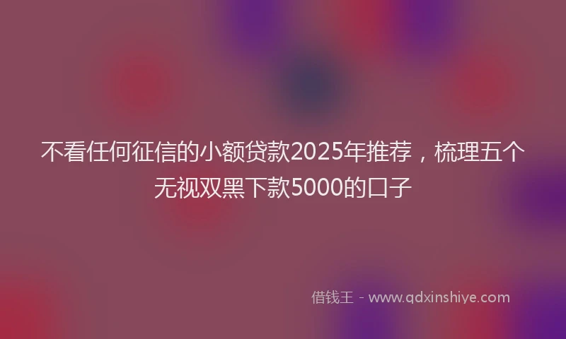 不看任何征信的小额贷款2025年推荐，梳理五个无视双黑下款5000的口子