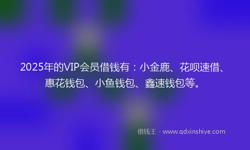 2025年的VIP会员借钱有：小金鹿、花呗速借、惠花钱包、小鱼钱包、鑫速钱包等。