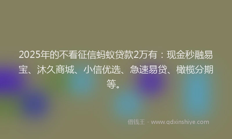 2025年的不看征信蚂蚁贷款2万有：现金秒融易宝、沐久商城、小信优选、急速易贷、橄榄分期等。