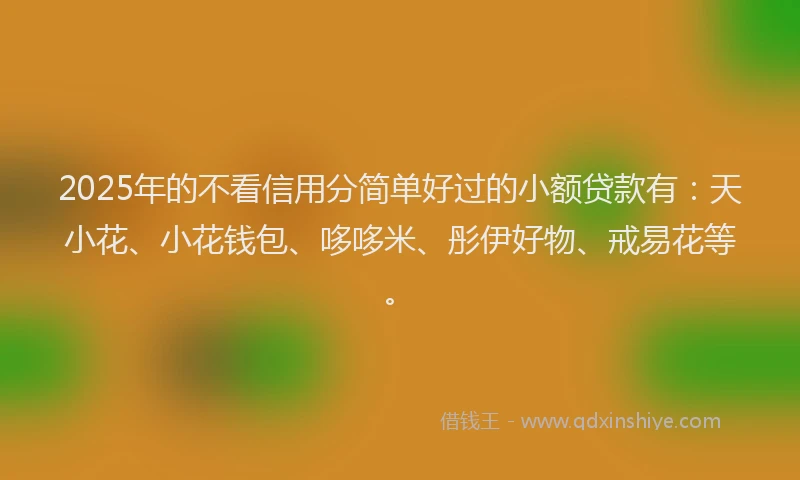 2025年的不看信用分简单好过的小额贷款有：天小花、小花钱包、哆哆米、彤伊好物、戒易花等。