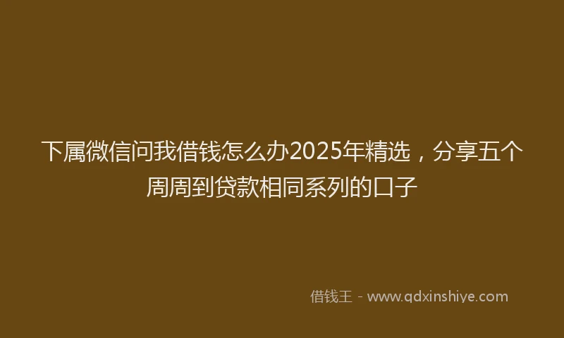 下属微信问我借钱怎么办2025年精选，分享五个周周到贷款相同系列的口子